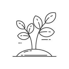 Linear style of sprout icon with black color isolated on white background. Simple line sprout vector illustration 