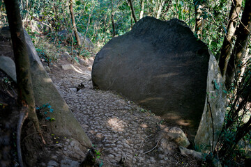 big rock in the forest