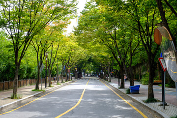 도로 풍경 Korean Road