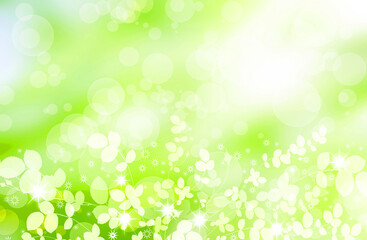 ビューティーイメージ