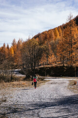 Fototapeta na wymiar Mountain landscape in autumn