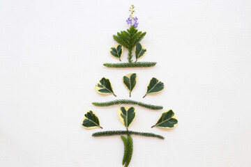 purple flower and leaf arrangement christmas tree style for festival christmas  day arrangement flat lay postcard style on background white