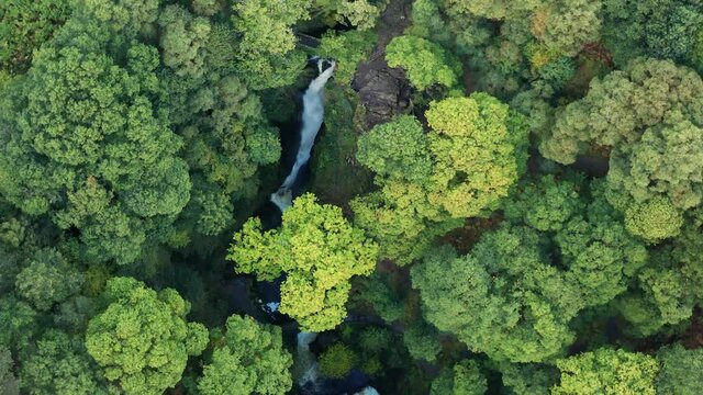 aerial drone shot looking down at Aira force falls waterfalls located near Ullswater in the Lake District.