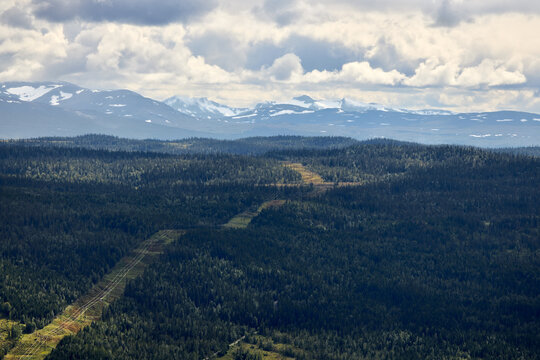 Power line gate in the Swedish J&auml;mtland forests in the direction of high mountain peaks. Electricity line in the forest.