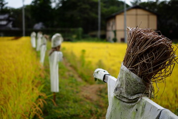 案山子がある田舎の風景