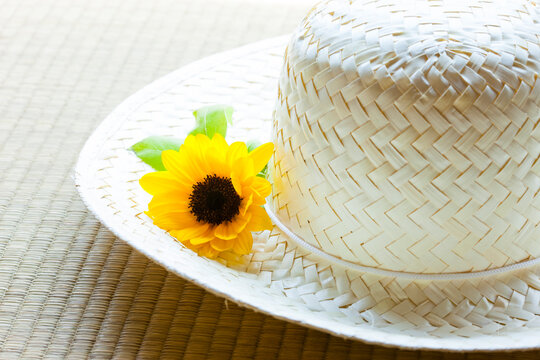 麦わら帽子と向日葵