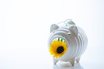 蚊取り線香とヒマワリ