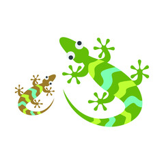 lizard vector on the wall, chameleon lizard and gecko icon