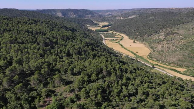 Monte de pinar con valle de cereal, perspectiva a&eacute;rea.
