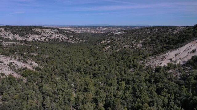 Valle tupido de Sabinas en la provincia de Soria (Epa&ntilde;a)