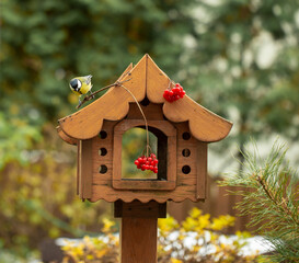 bird feeder in autumn, autumn garden birds peck food from bird feeder