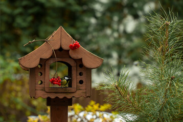 bird feeder in autumn, autumn garden birds peck food from bird feeder