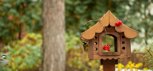 bird feeder in autumn, autumn garden birds peck food from bird feeder