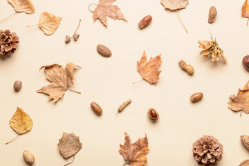Beautiful autumn composition on light background