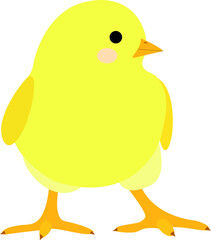 one little cute yellow chiken