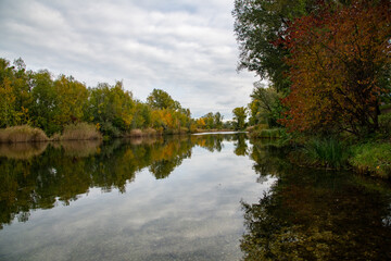 idyllic water place in the Vienna Lobau natural reserve