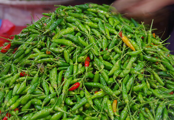Various types of vegetables that grow in Indonesia