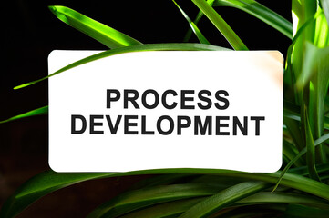 Process development text on white surrounded by green leaves
