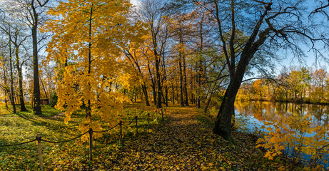 Autumn trail for walking in the Park near the pond.