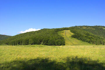 Fototapeta premium beautiful summer landscape