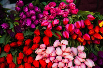 Selling flowers. Bouquets of colorful tulips