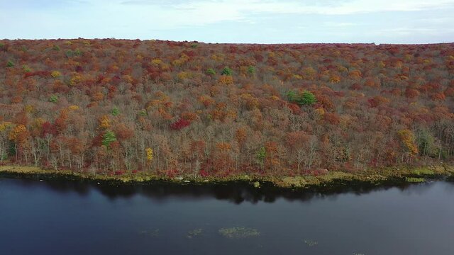 Foliage Aerial Footage of Lake, Forest and Sky