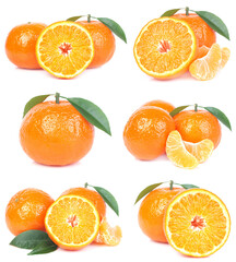 Mandarin fruit on white background