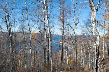 Baikal lake fresh water
flora shore reserve Russia Irkutsk park island Sky clouds clear Olkhon rocks trees embankments sand bay lagoon stones mountains hills horizon line panorama autumn water waves t