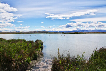 Laguna Nimez Reserva in El Calafate, Patagonia, Argentina
