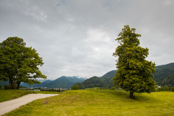 Lonely tree next to a gravel road and mountains in the background on a cloudy morning.