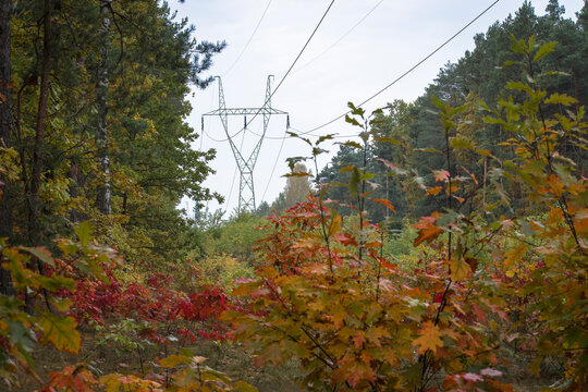 Anchor tower of overhead power line in Kampinos National Park, Warsaw, Poland. The forest is full of autumnal colors.