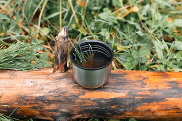 Mug with tea in the forest, close-up. Brewed tea with a Christmas tree branch. Relaxation concept, unusual tea, hot drink in cold weather.