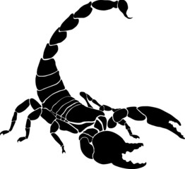 vector illustration of a scorpion - obrazy, fototapety, plakaty