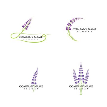 Fresh Lavender Flower Logo Vector Flat