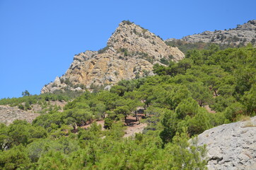 Fototapeta premium landscape in the mountains