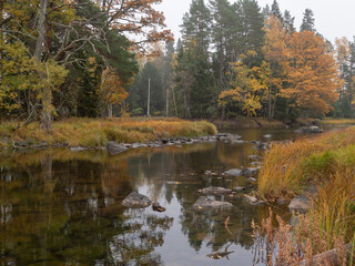 Fototapeta na wymiar River landscape in autumn. Farnebofjarden national park in Sweden.