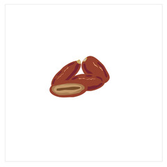 Dates Fruit Ramadan Kareem Vector