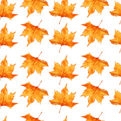 Watercolor autumn leafes seamless pattern isolated on white