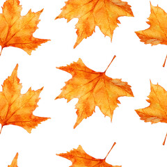 Watercolor autumn leafes seamless pattern isolated on white