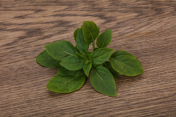 Aroma seasoning - Green Basil leaves