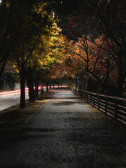 Obraz premium Landscape of the night park with luminous lanterns