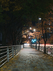 Landscape of the night park with luminous lanterns