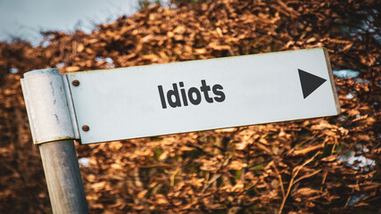 Street Sign to Idiots