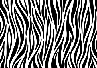 Fototapeta na wymiar Zebra print, animal skin, tiger stripes, abstract pattern, line background. Amazing hand drawn vector illustration. Poster, banner. Black and white artwork, monochrome