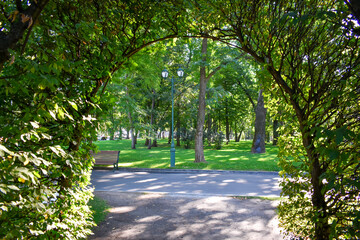 alley in the park