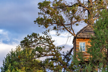 Fototapeta na wymiar A treehouse in a tree on a farm