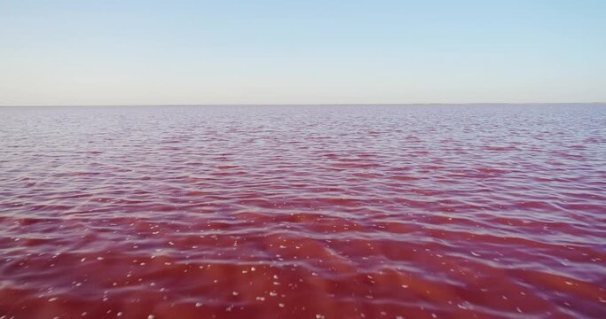 Pink saline sea with small wave / salt lake water evaporation ponds with pink plankton colour. Aerial top down wide shot at summer sunny day