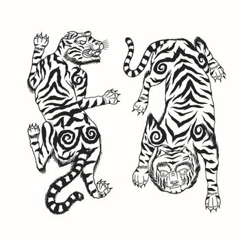 Asian Japanese tiger. Wild animal for tattoo or sticker or emblem. Hand drawn engraved sketch. Monochrome doodle style. Vector illustration.