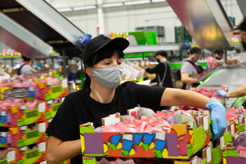 Skilled woman wearing face mask checking quality of selected mangos at fruit storage