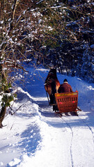 Zimowy mroźny pejzaż górski z oszronionymi drzewami
Woźnica, koń, sanie, w czasie zimowej przejażdżki w zimowym słonecznym dniu